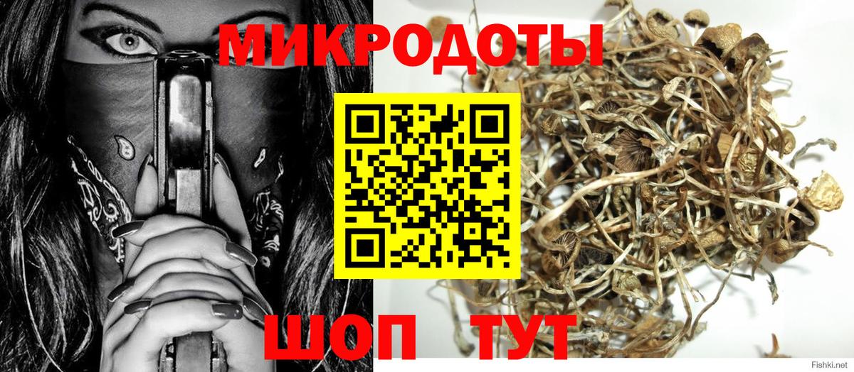 Кингисепп  дарнет шоп  Вход с VPN  Галлюциногенные грибы Psilocybe 