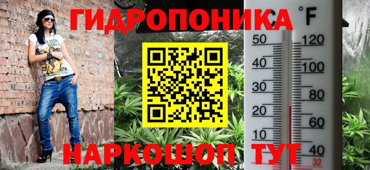Шишки марихуана сатива  МАРИХУАНА сатива  Кингисепп  Шишки марихуана Amnesia  Вход с VPN 